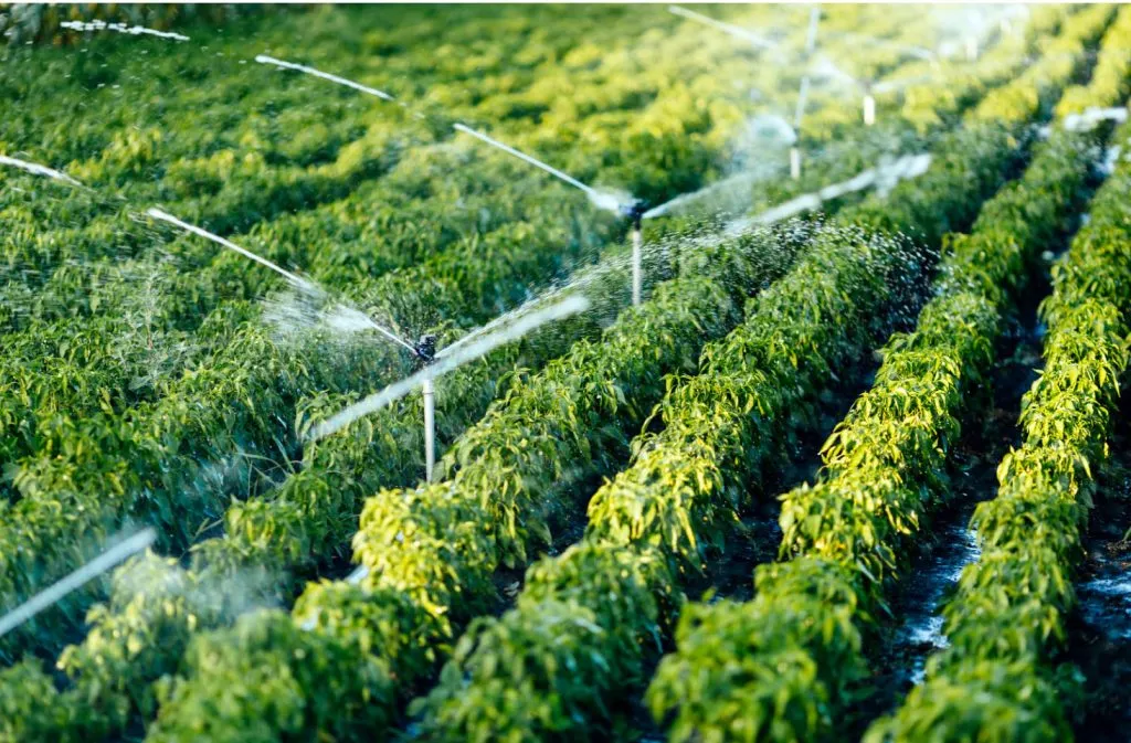 detection eau souterraine agriculteur 
