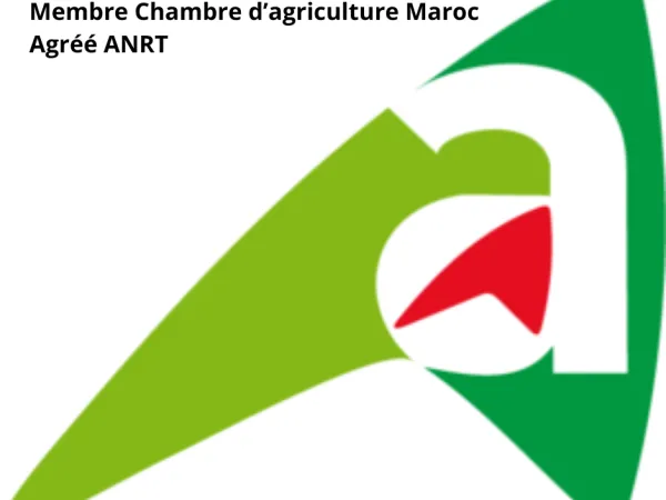 meilleur sourcier maroc