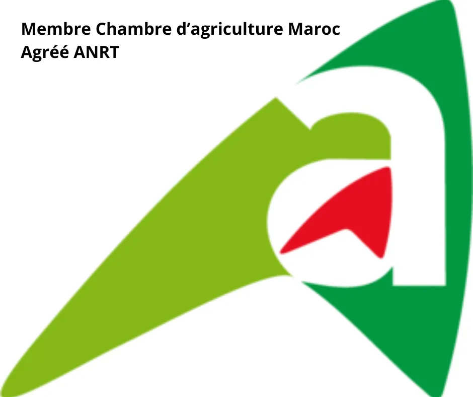 meilleur sourcier maroc