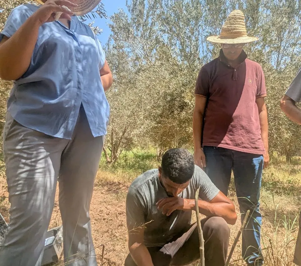 Sourcier Maroc utilisant des appareils géophysiques pour localiser l’eau souterraine à Marrakech