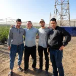 Détection eau souterraine Maroc sur une exploitation agricole de 50 hectares de myrtilles à Agadir par l’équipe Allo Eau Maroc.