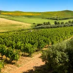 Étude hydrogéologique et recherche d’eau souterraine pour les professionnels au Maroc