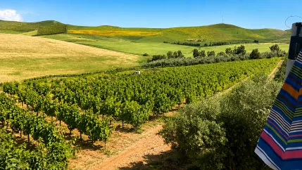 Étude hydrogéologique et recherche d’eau souterraine pour les professionnels au Maroc