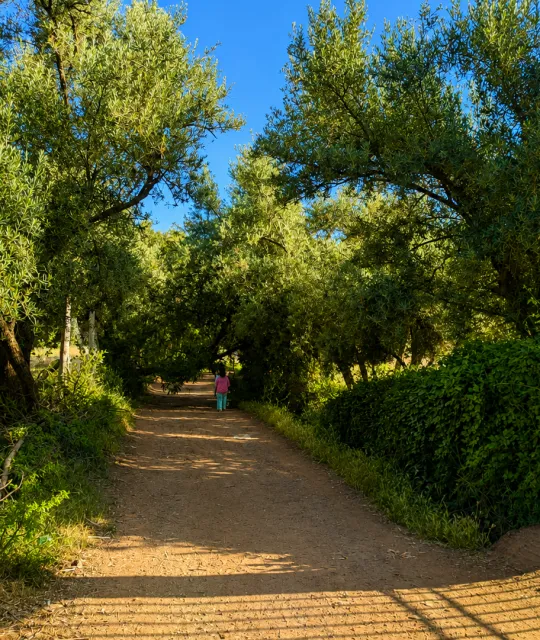 Détection d’eau souterraine avant forage au Maroc